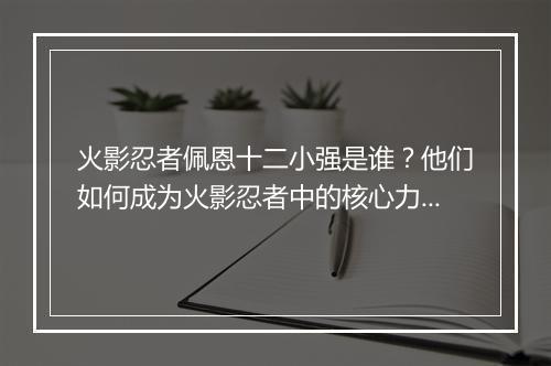 火影忍者佩恩十二小强是谁？他们如何成为火影忍者中的核心力量？