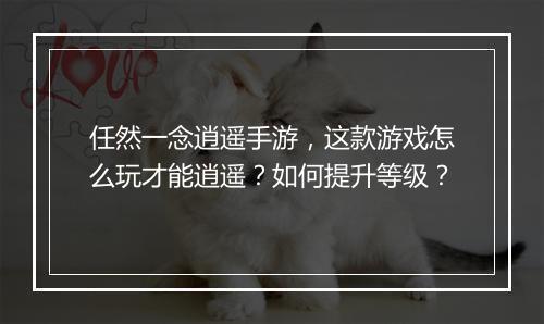 任然一念逍遥手游，这款游戏怎么玩才能逍遥？如何提升等级？