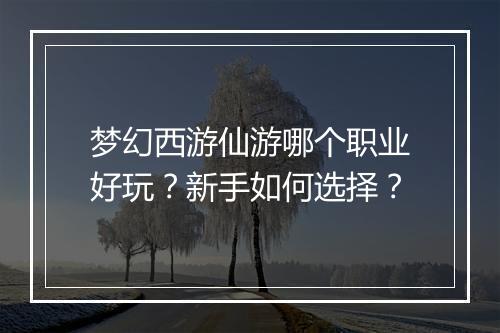 梦幻西游仙游哪个职业好玩？新手如何选择？