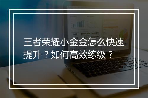 王者荣耀小金金怎么快速提升？如何高效练级？