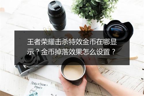 王者荣耀击杀特效金币在哪显示？金币掉落效果怎么设置？