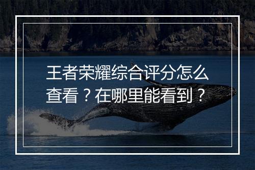 王者荣耀综合评分怎么查看？在哪里能看到？