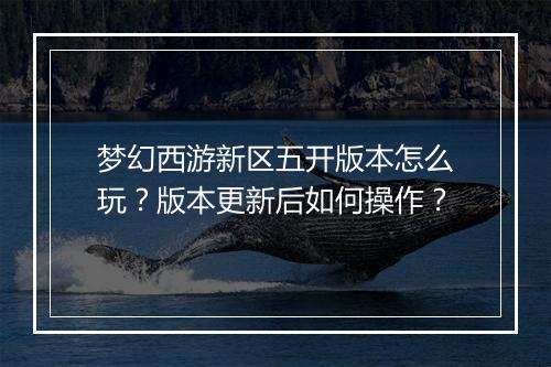 梦幻西游新区五开版本怎么玩？版本更新后如何操作？