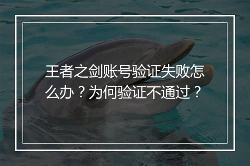 王者之剑账号验证失败怎么办？为何验证不通过？