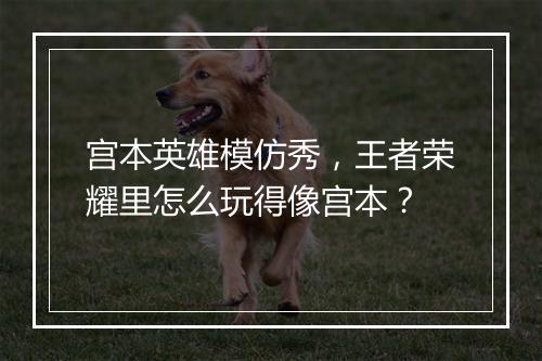 宫本英雄模仿秀，王者荣耀里怎么玩得像宫本？