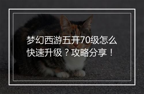 梦幻西游五开70级怎么快速升级？攻略分享！