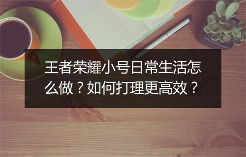 王者荣耀小号日常生活怎么做？如何打理更高效？