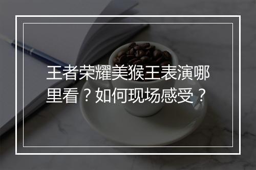王者荣耀美猴王表演哪里看？如何现场感受？