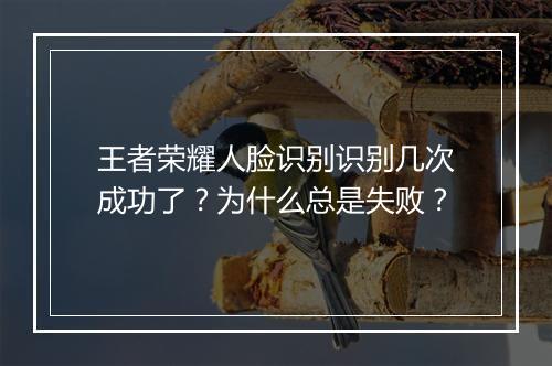 王者荣耀人脸识别识别几次成功了？为什么总是失败？