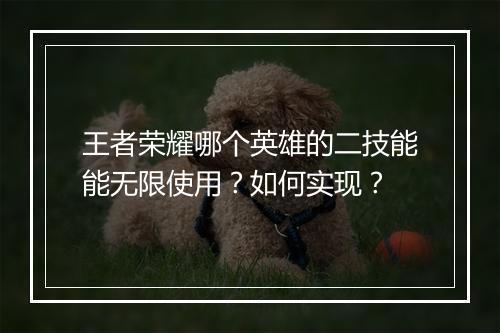 王者荣耀哪个英雄的二技能能无限使用？如何实现？