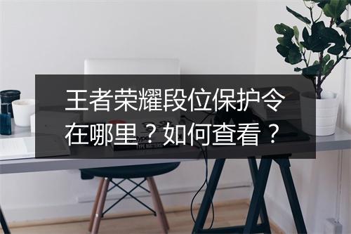 王者荣耀段位保护令在哪里？如何查看？