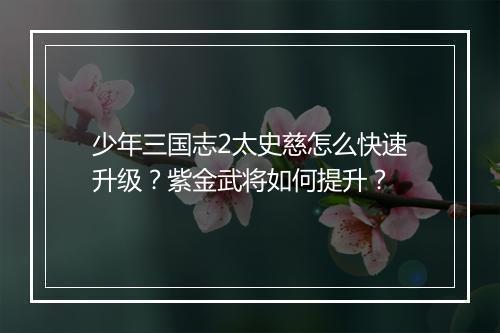 少年三国志2太史慈怎么快速升级？紫金武将如何提升？