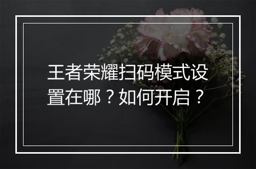 王者荣耀扫码模式设置在哪？如何开启？