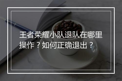 王者荣耀小队退队在哪里操作？如何正确退出？