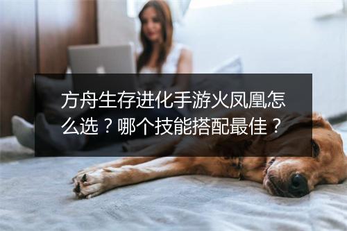 方舟生存进化手游火凤凰怎么选？哪个技能搭配最佳？