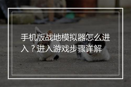 手机版战地模拟器怎么进入？进入游戏步骤详解