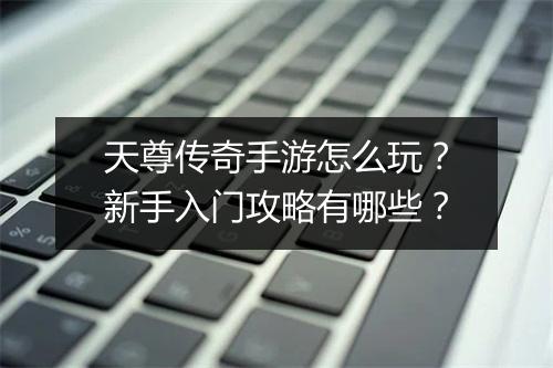 天尊传奇手游怎么玩？新手入门攻略有哪些？