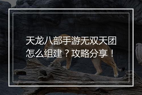 天龙八部手游无双天团怎么组建？攻略分享！