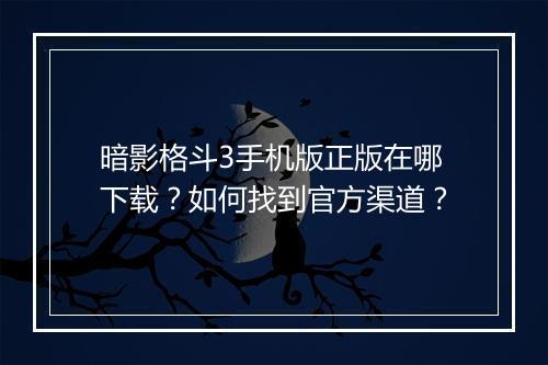 暗影格斗3手机版正版在哪下载？如何找到官方渠道？