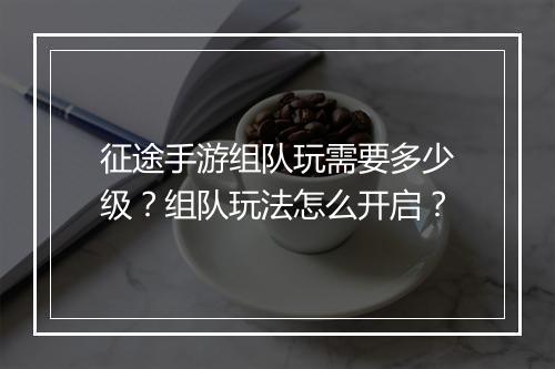 征途手游组队玩需要多少级？组队玩法怎么开启？