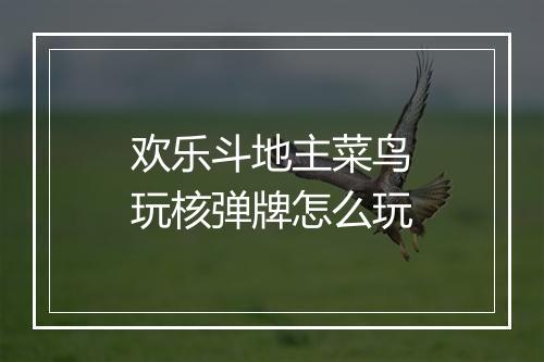 欢乐斗地主菜鸟玩核弹牌怎么玩