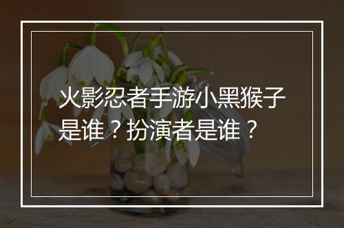 火影忍者手游小黑猴子是谁？扮演者是谁？
