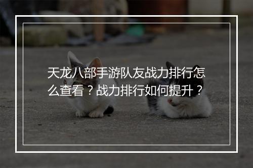 天龙八部手游队友战力排行怎么查看？战力排行如何提升？
