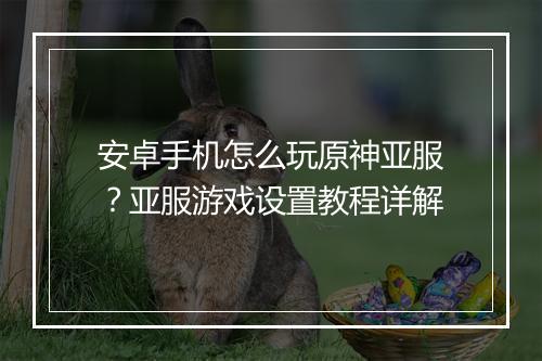 安卓手机怎么玩原神亚服？亚服游戏设置教程详解