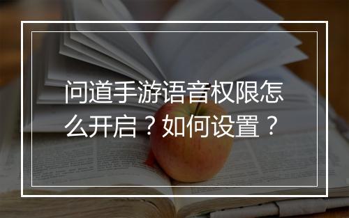 问道手游语音权限怎么开启？如何设置？
