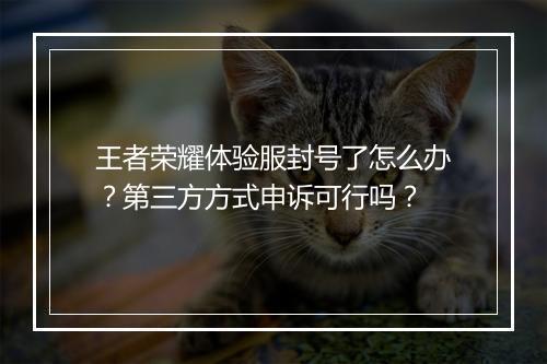 王者荣耀体验服封号了怎么办？第三方方式申诉可行吗？