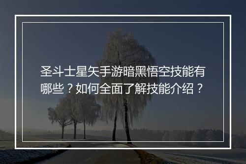 圣斗士星矢手游暗黑悟空技能有哪些？如何全面了解技能介绍？