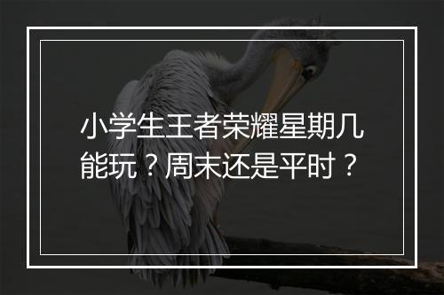 小学生王者荣耀星期几能玩？周末还是平时？