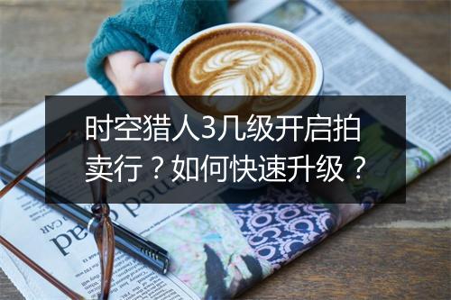 时空猎人3几级开启拍卖行？如何快速升级？