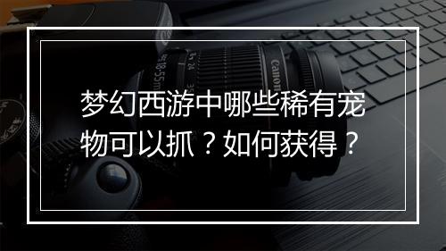 梦幻西游中哪些稀有宠物可以抓？如何获得？