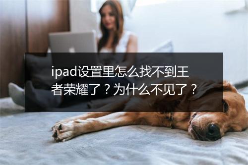 ipad设置里怎么找不到王者荣耀了?为什么不见了?
