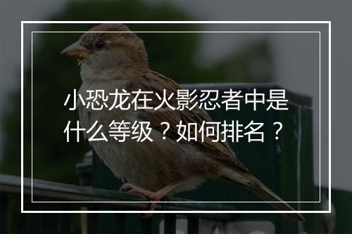 小恐龙在火影忍者中是什么等级？如何排名？
