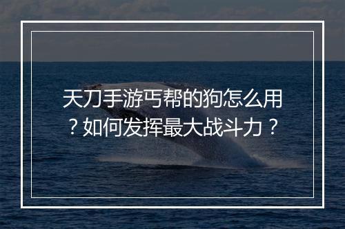天刀手游丐帮的狗怎么用？如何发挥最大战斗力？