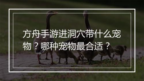 方舟手游进洞穴带什么宠物？哪种宠物最合适？