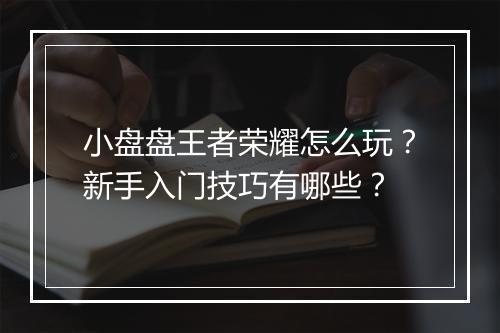 小盘盘王者荣耀怎么玩？新手入门技巧有哪些？