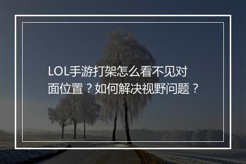 LOL手游打架怎么看不见对面位置？如何解决视野问题？