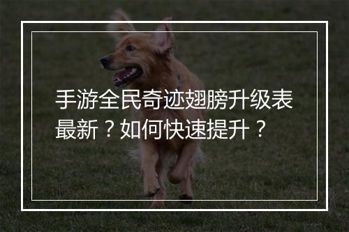 手游全民奇迹翅膀升级表最新？如何快速提升？