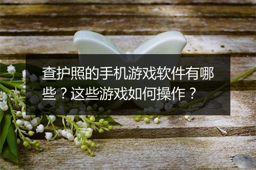 查护照的手机游戏软件有哪些？这些游戏如何操作？