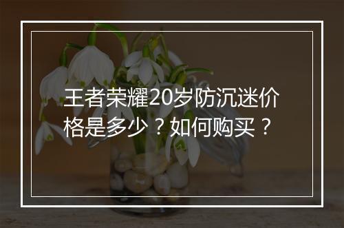 王者荣耀20岁防沉迷价格是多少？如何购买？