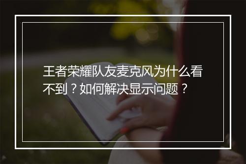王者荣耀队友麦克风为什么看不到?如何解决显示问题?