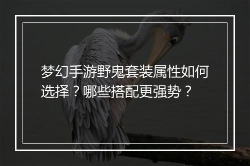 梦幻手游野鬼套装属性如何选择?哪些搭配更强势?