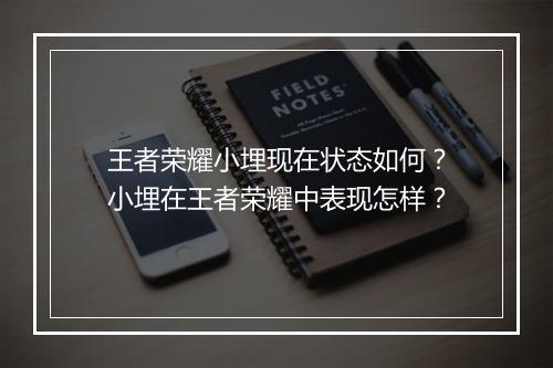 王者荣耀小埋现在状态如何?小埋在王者荣耀中表现怎样?