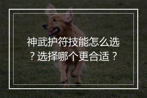 神武护符技能怎么选？选择哪个更合适？