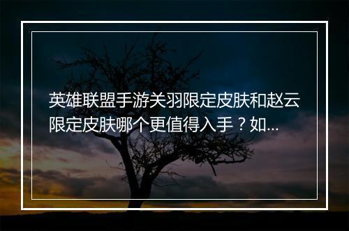 英雄联盟手游关羽限定皮肤和赵云限定皮肤哪个更值得入手?如何选择?