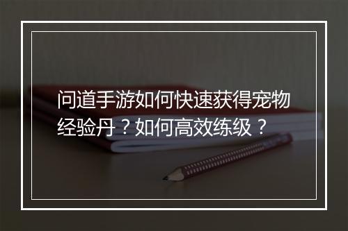 问道手游如何快速获得宠物经验丹?如何高效练级?