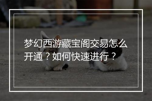 梦幻西游藏宝阁交易怎么开通?如何快速进行?